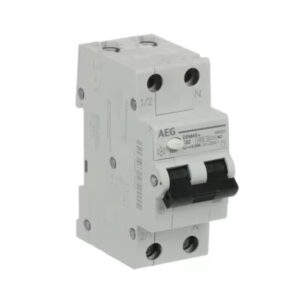 ELETTRA SRL AEG - AEGDDM45AC10/030 INT.DIFF.DDM+ 1+N 10A 4,5KA AC 2M 695197
